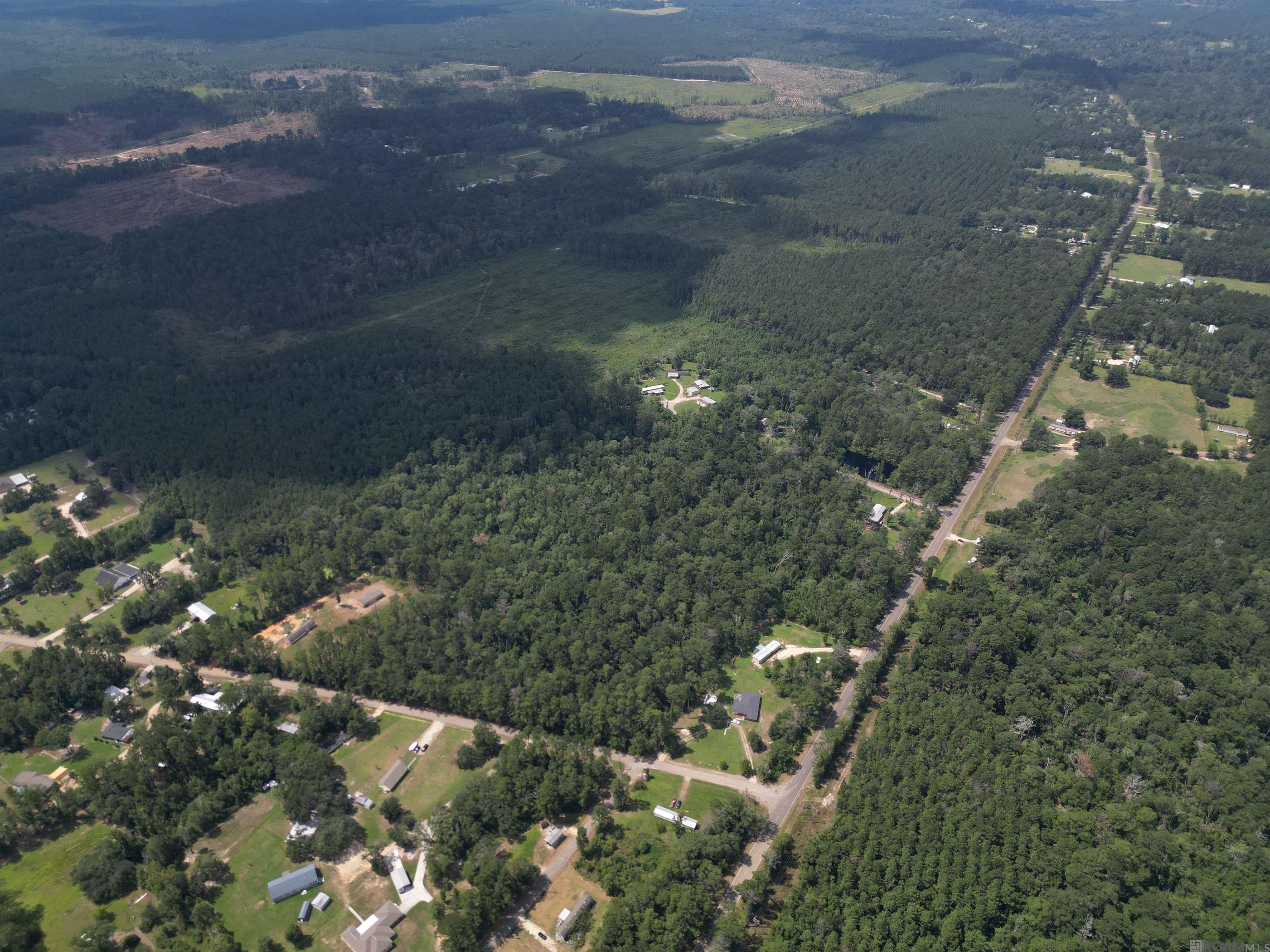 TBD Pea Ridge Rd, Albany, Louisiana image 9