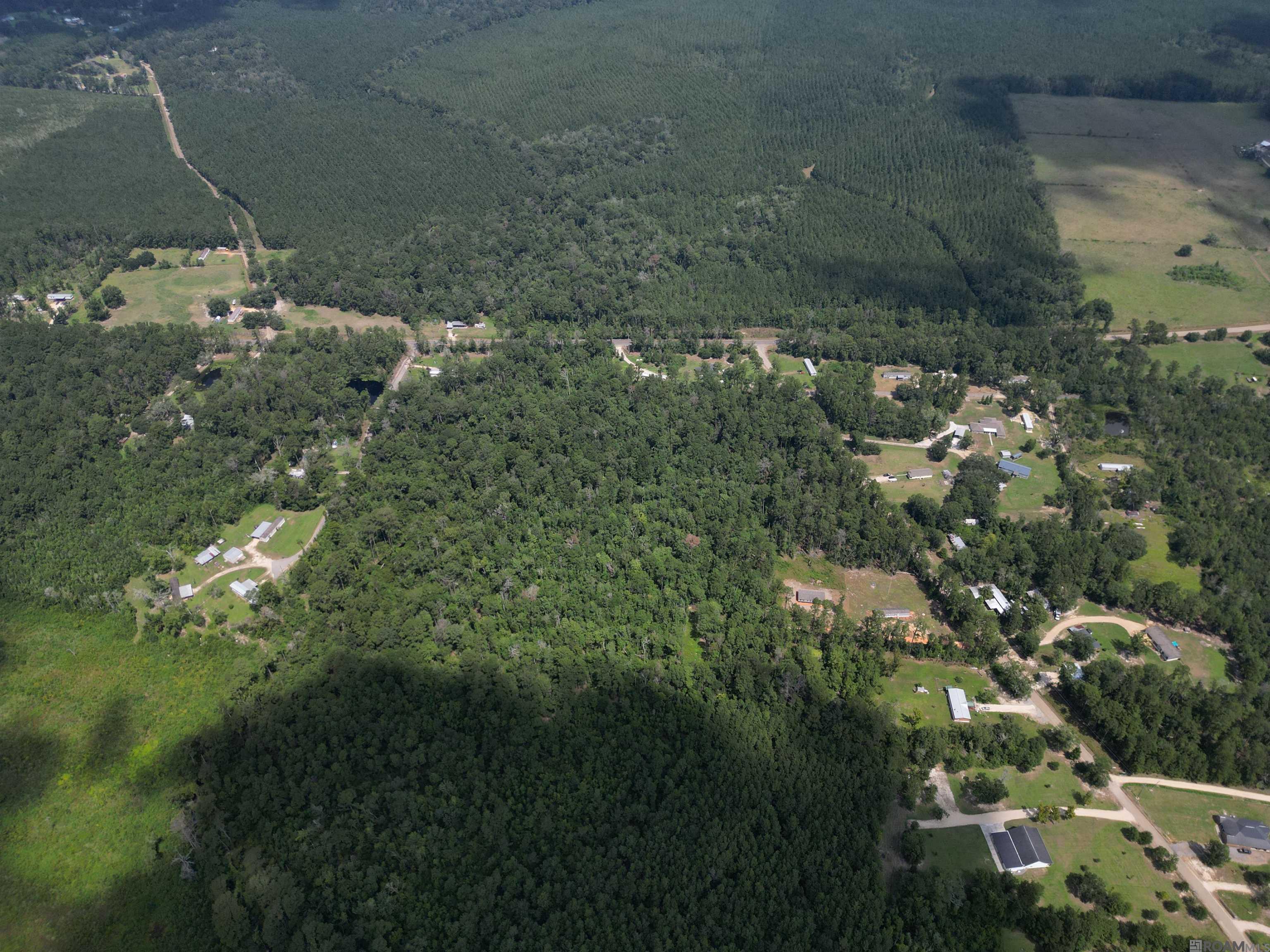 TBD Pea Ridge Rd, Albany, Louisiana image 7