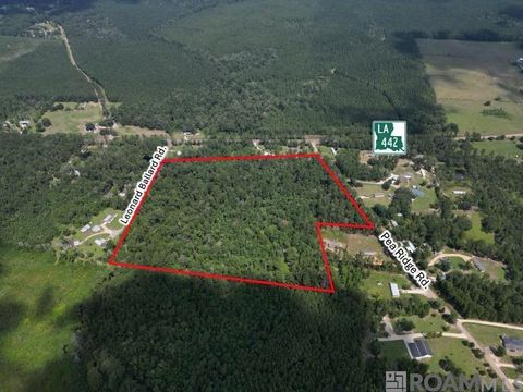 Vacant Land For Sale - TBD Pea Ridge Rd<br/> Albany, LA 70711