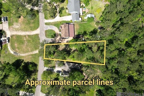 Vacant Land For Sale - 31531 River Pines Dr<br/> Springfield, LA 70462