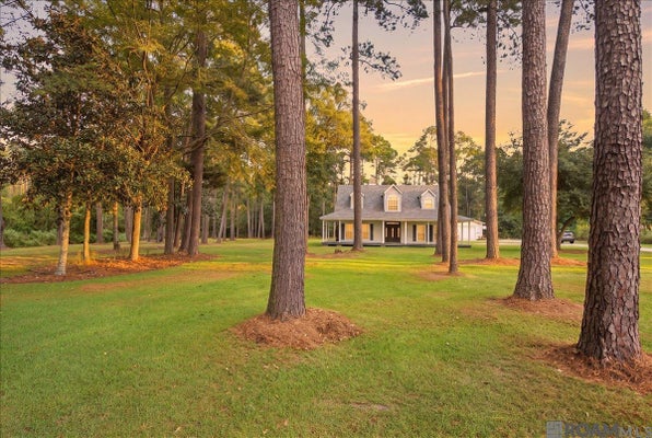 17580 M GUITREAU LN, LIVINGSTON, LA 70754 - Image eb85ad5cb9381027a37bcdc13e42e1b2/1730727995