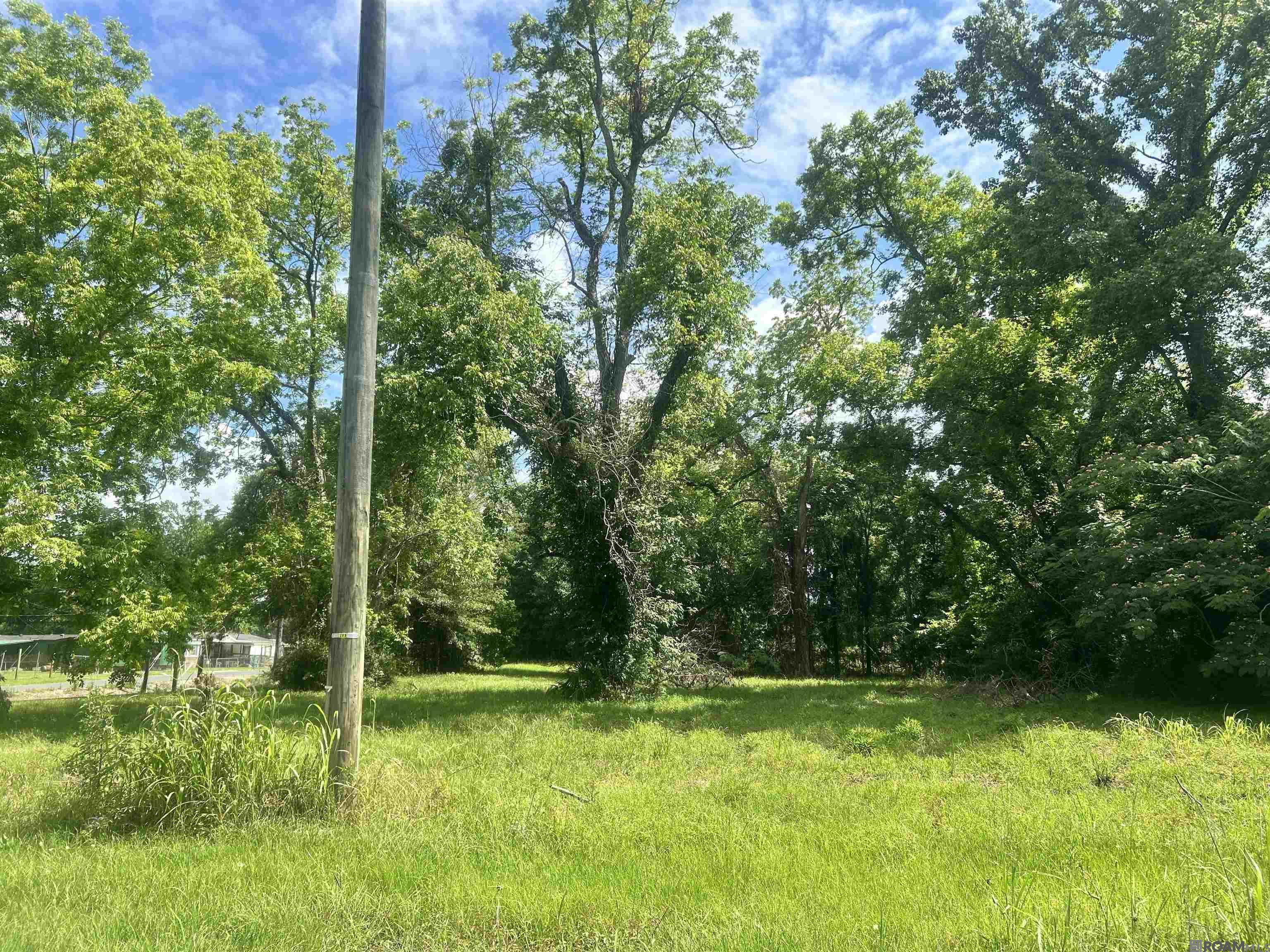 4464 New Weis Rd, Zachary, Louisiana image 5