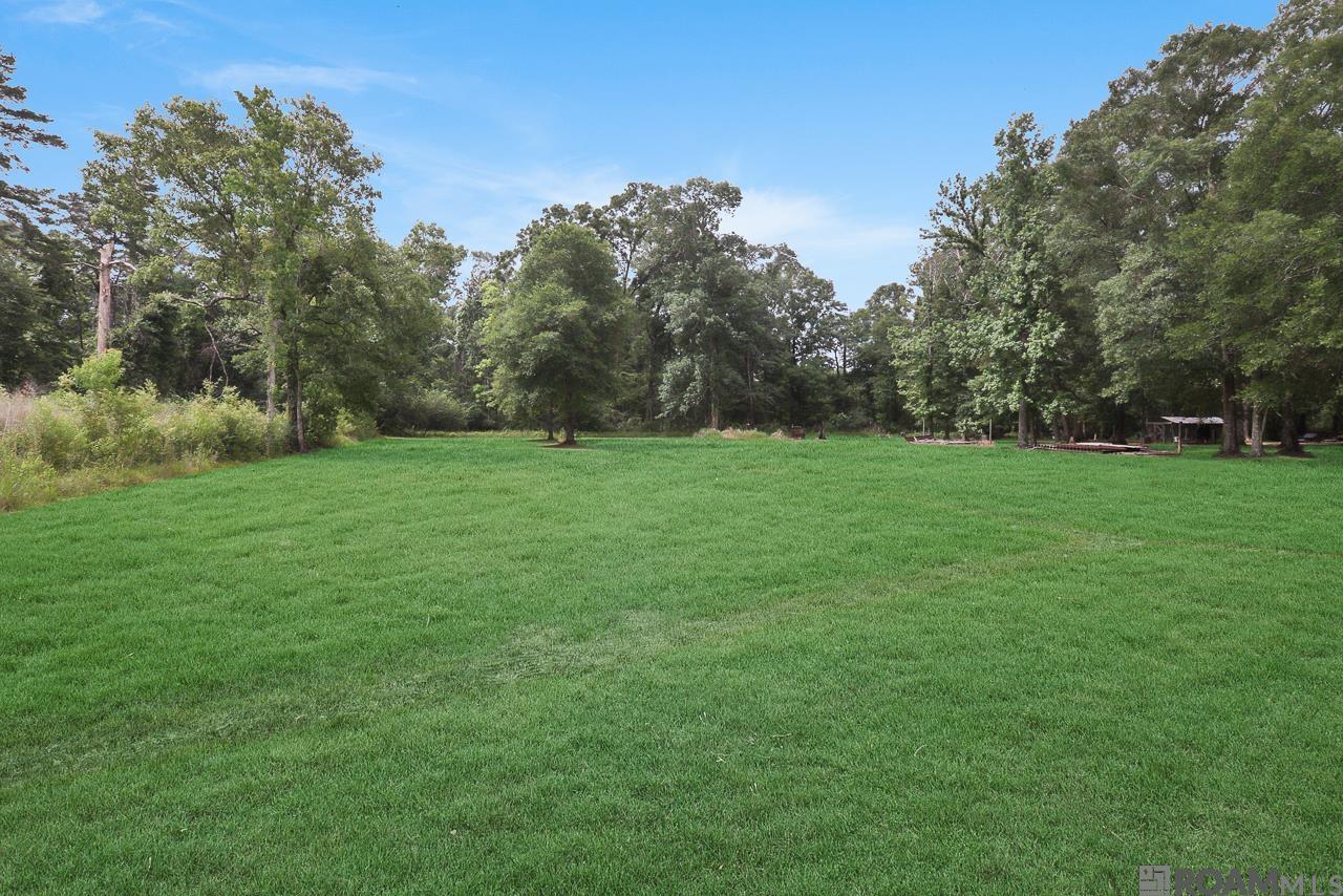 12300 Clanton Dr, Walker, Louisiana image 31