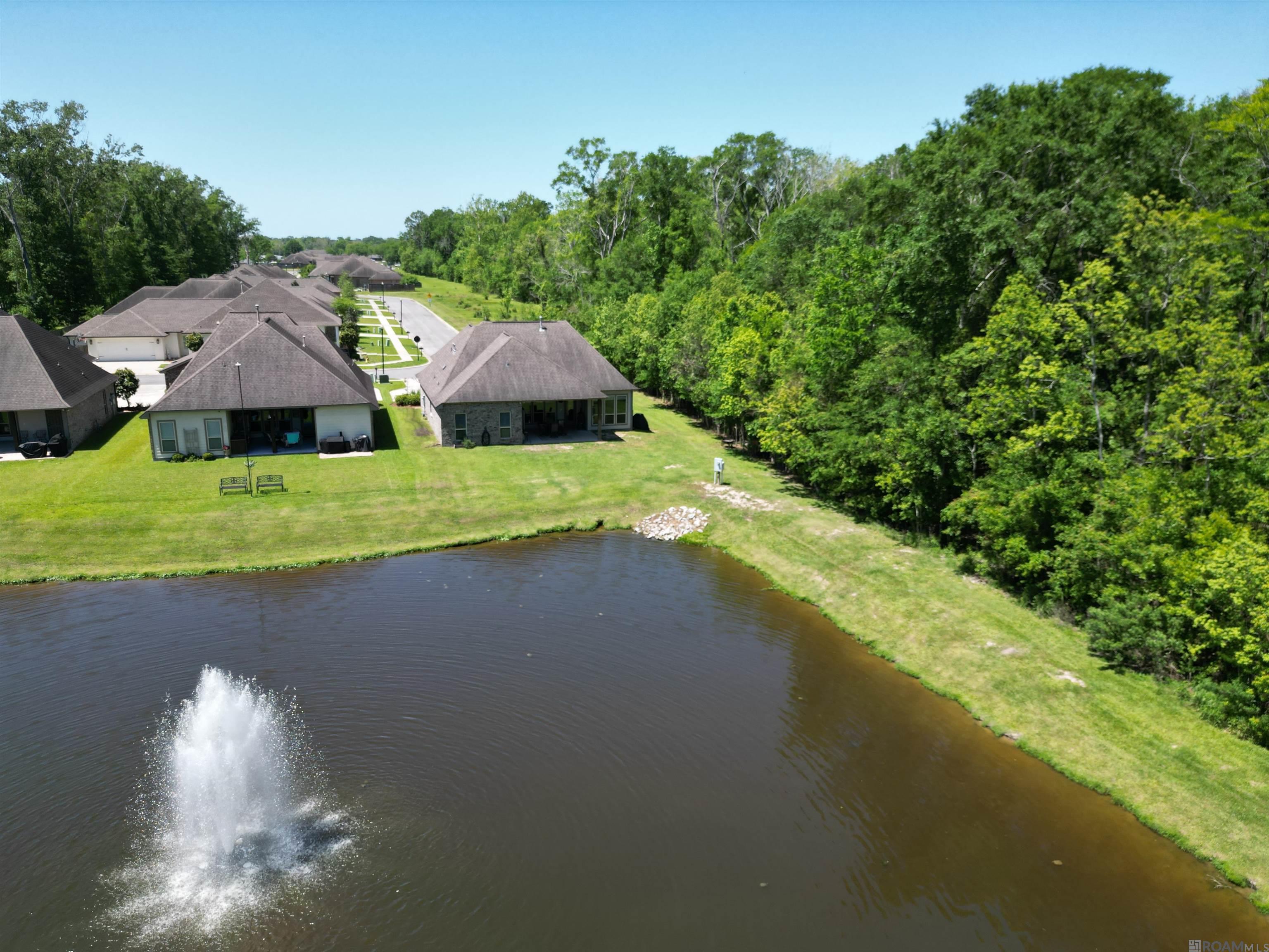 15248 Westin Lake Ct, Gonzales, Louisiana image 3