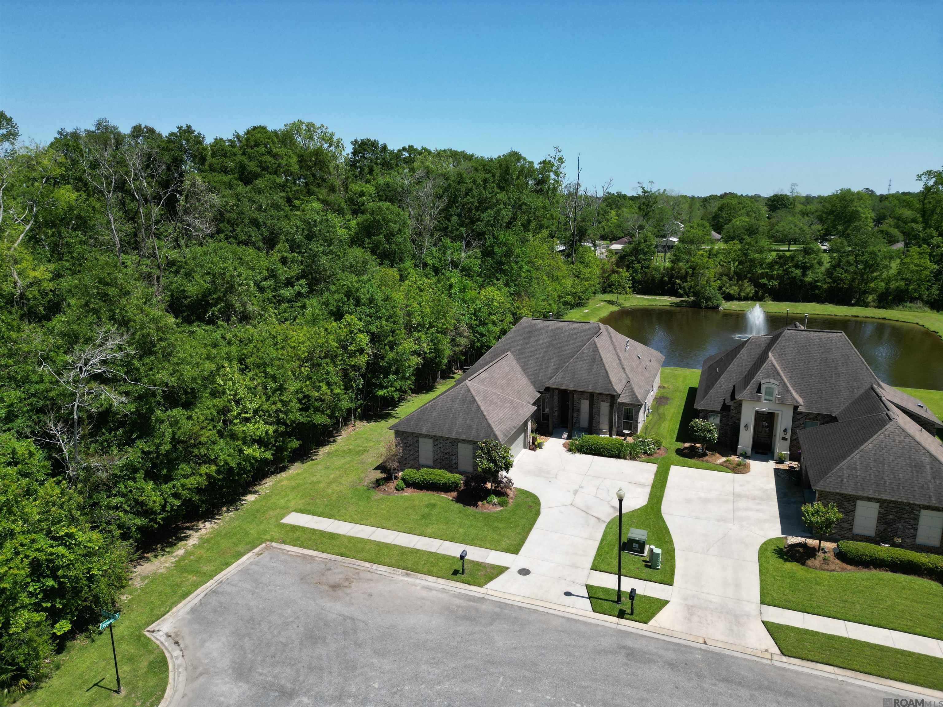 15248 Westin Lake Ct, Gonzales, Louisiana image 1