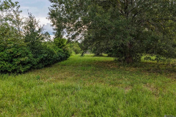 11103 BUDDY ELLIS RD, DENHAM SPRINGS, LA 70726 - Image ecf5fb147c75bcf2c0610cbc566fceaf/744032513