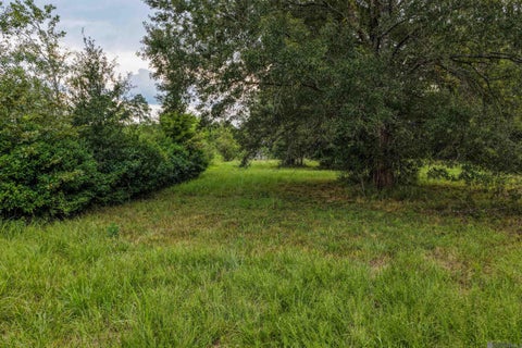 Vacant Land For Sale - 11103 Buddy Ellis Rd<br/> Denham Springs, LA 70726