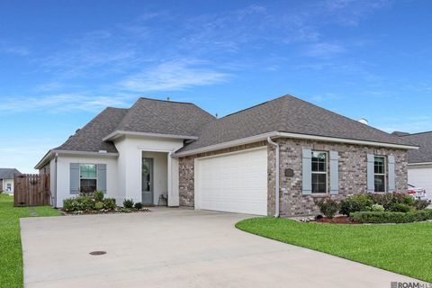 Homes For Sale - 5169 Black River Rd<br/> Darrow, LA 70725