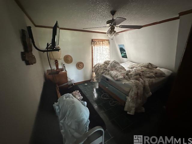 12735 Chenevert St, Ventress, Louisiana image 4