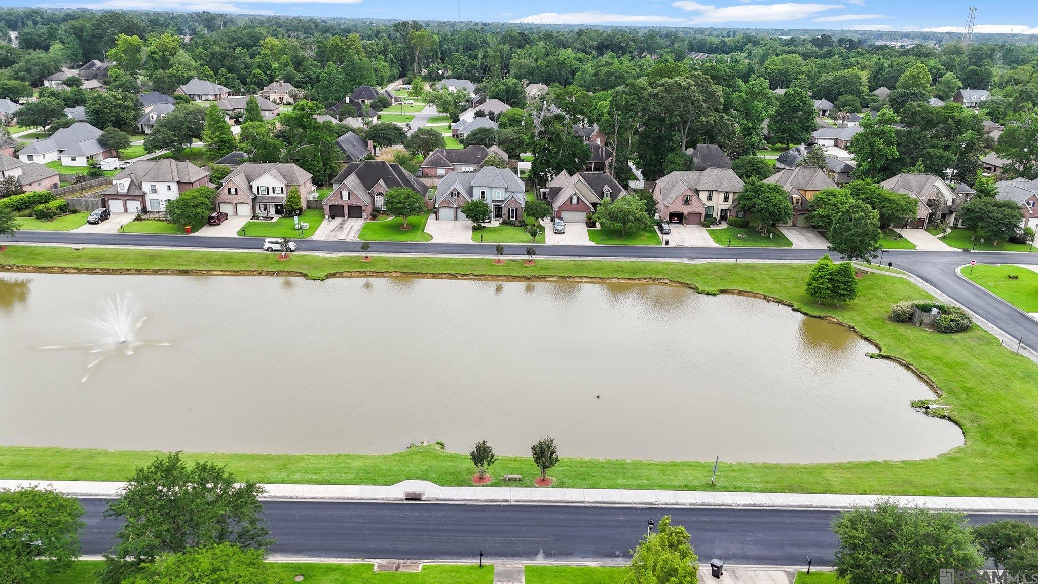 37331 St Marie Ave, Prairieville, Louisiana image 39