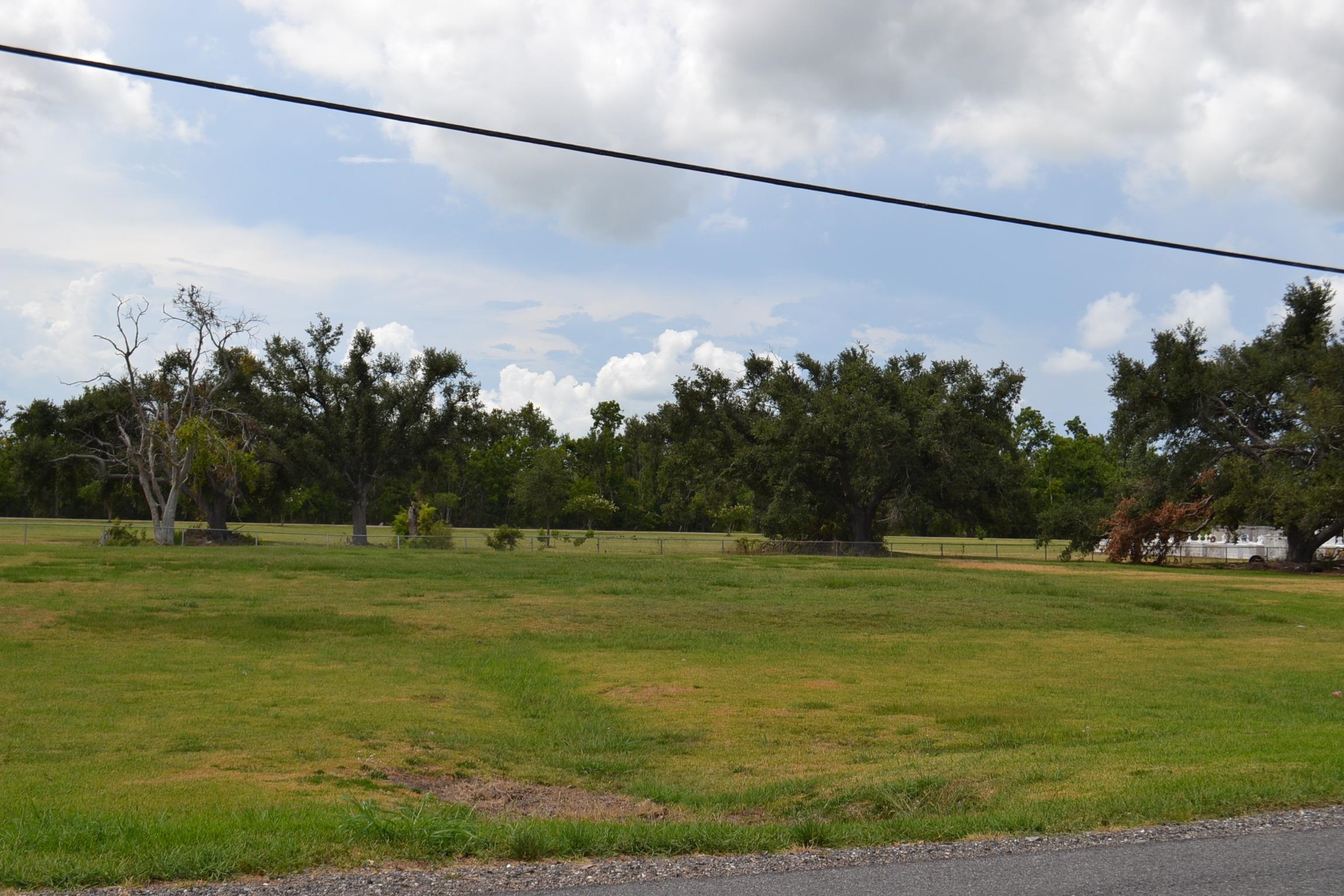 LOT 1 Oakridge Dr, Golden Meadow, Louisiana image 7