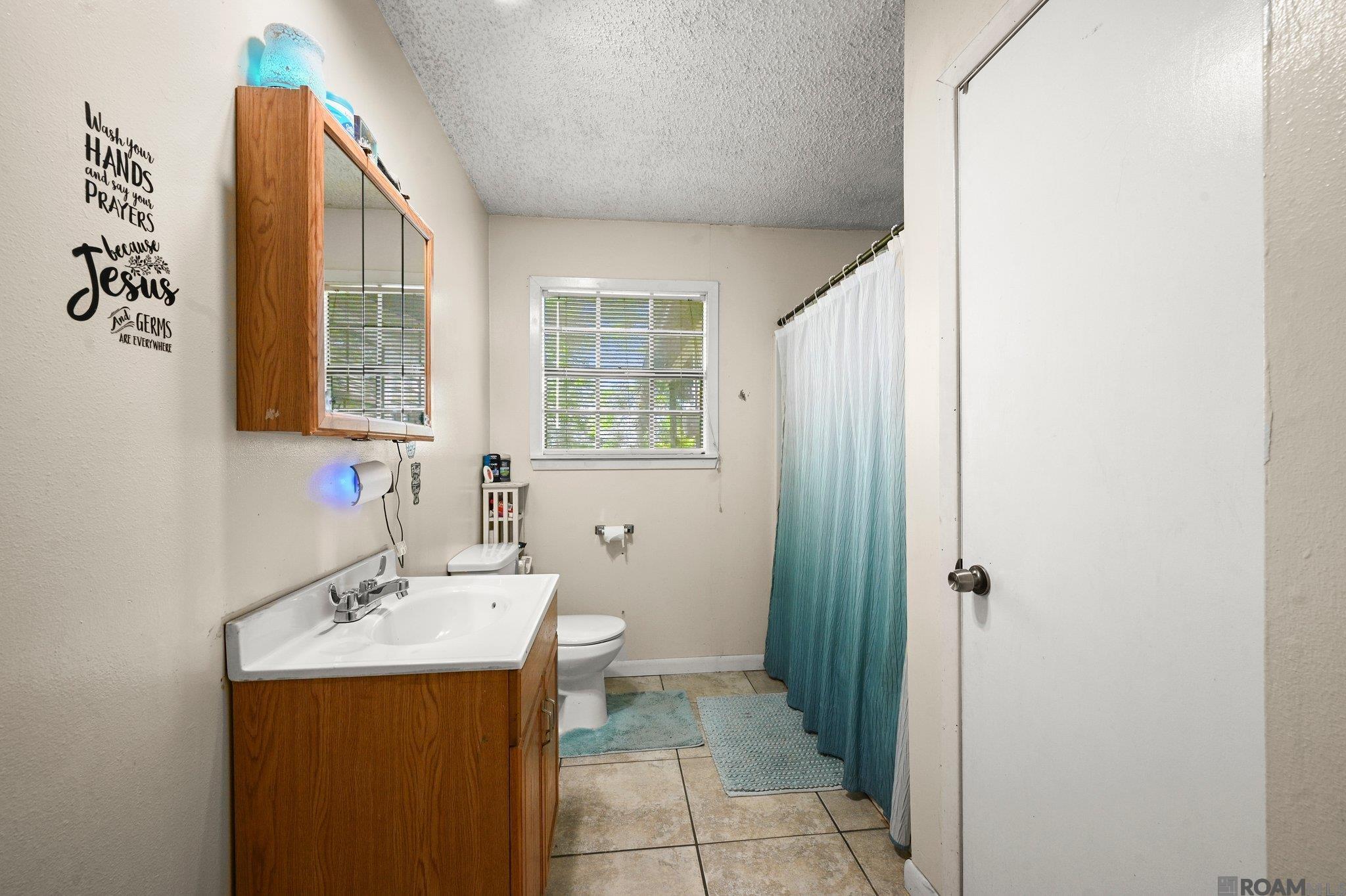 28080 Mc Arthur St, Livingston, Louisiana image 7