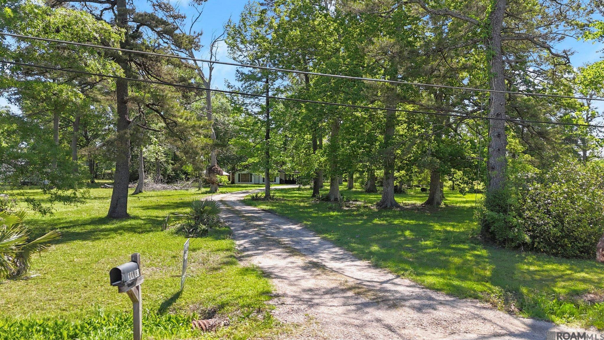 28080 Mc Arthur St, Livingston, Louisiana image 12