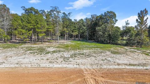 Vacant Land For Sale - N-2-D-1-B Little Azalea Drive<br/> Zachary, LA 70791