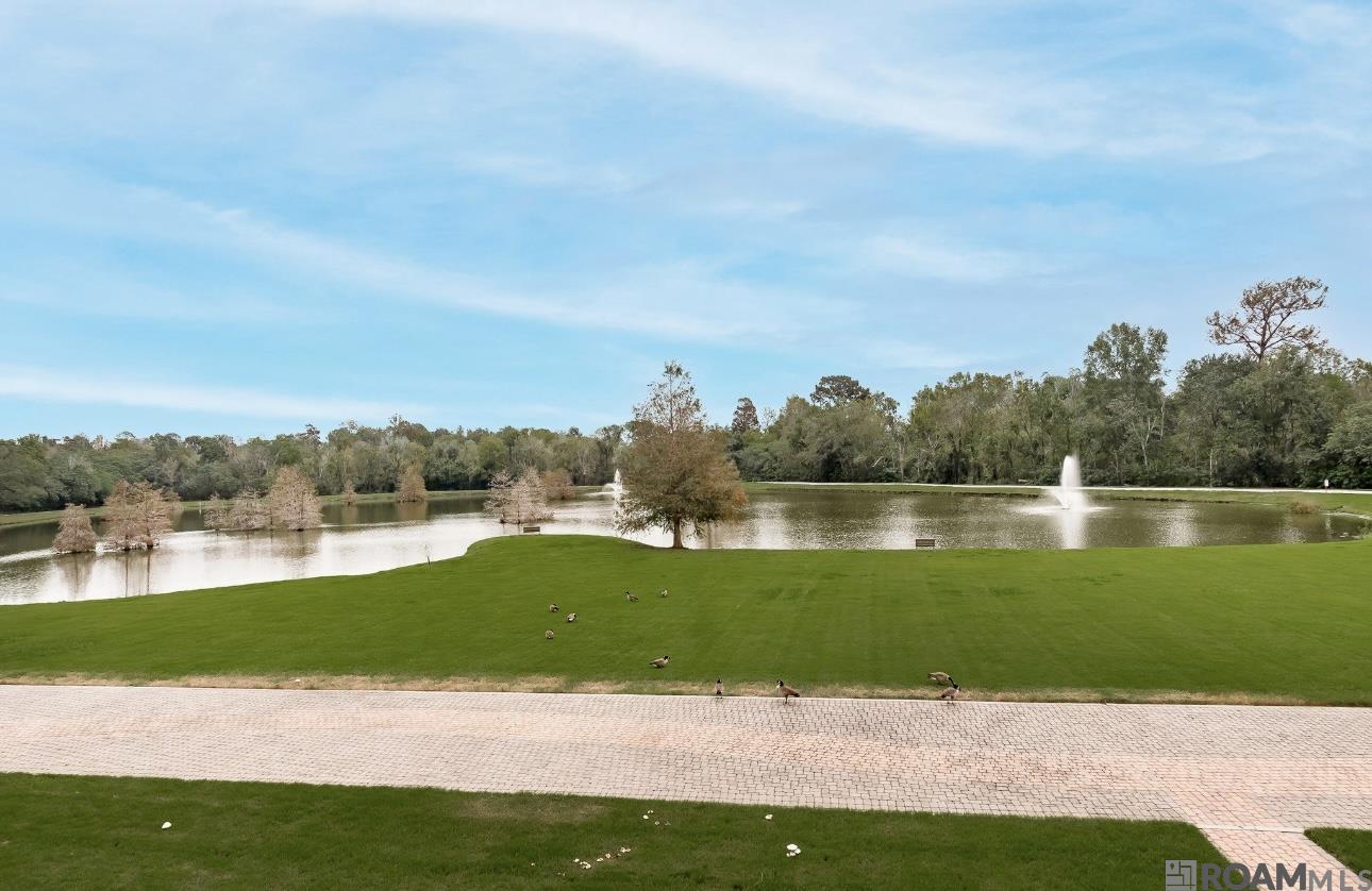 998 Stanford Ave #205, Baton Rouge, Louisiana image 3