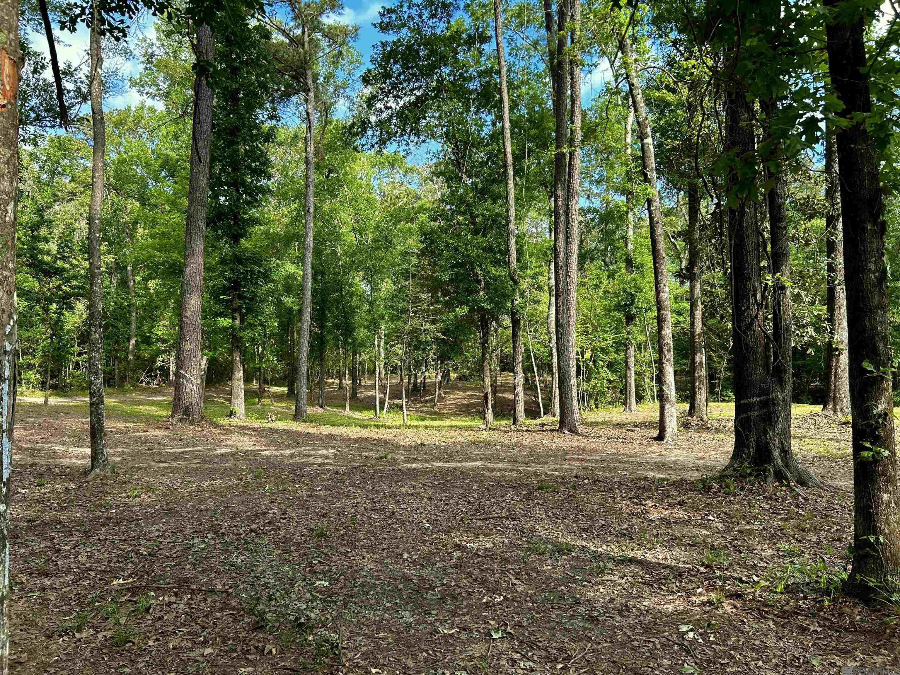 22130 Hopkins Rd, Holden, Louisiana image 25