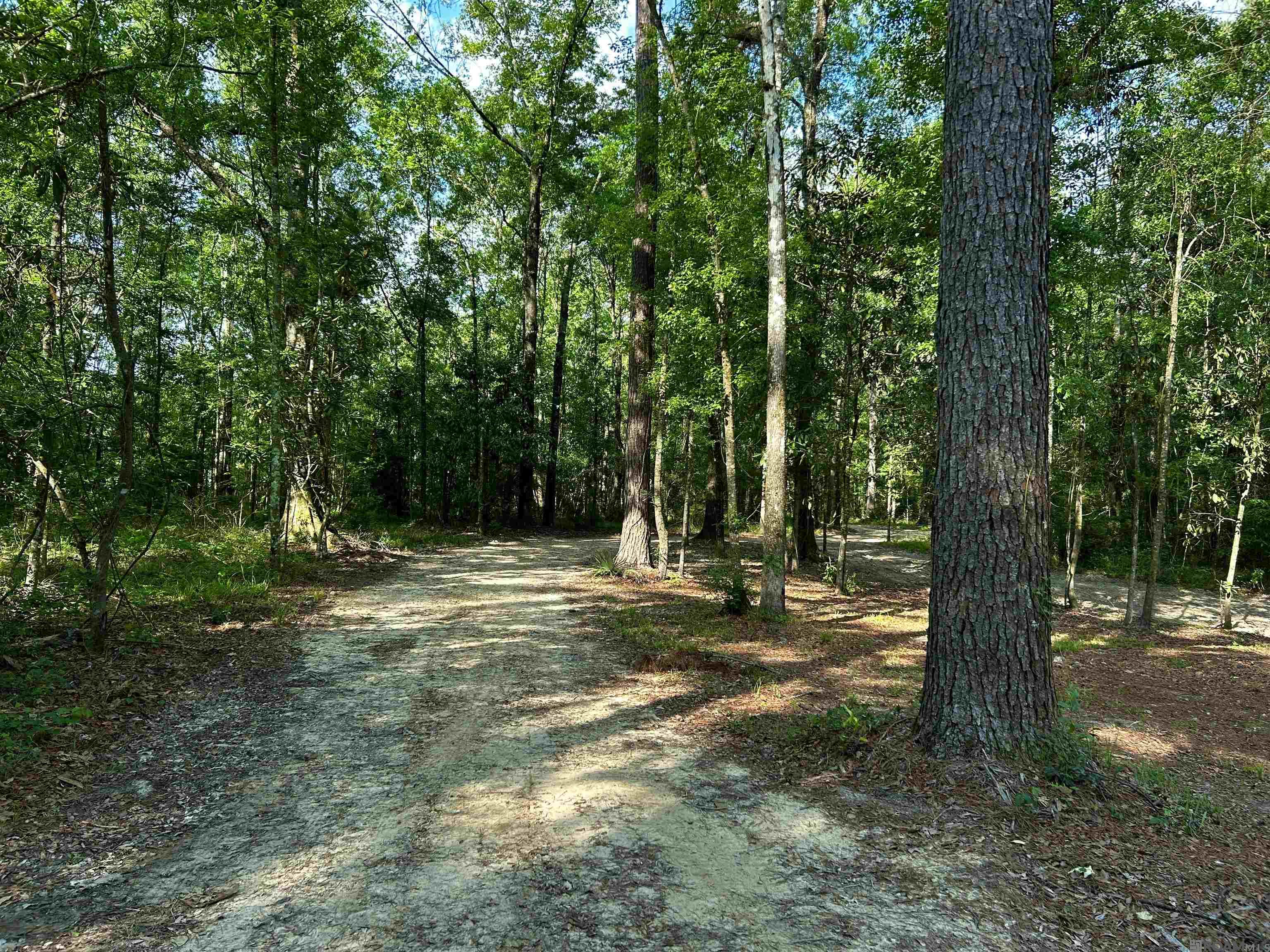 22130 Hopkins Rd, Holden, Louisiana image 22