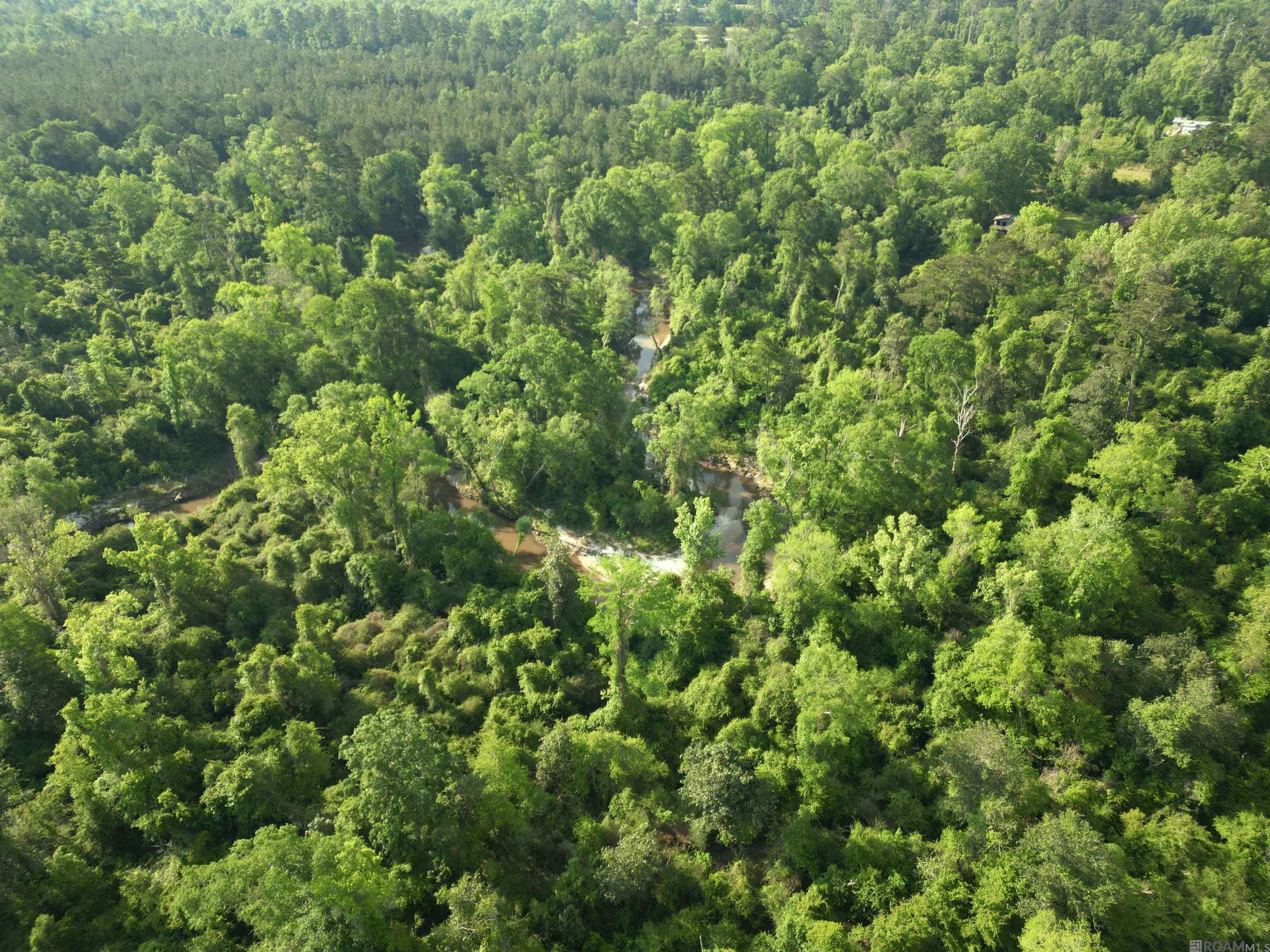 22130 Hopkins Rd, Holden, Louisiana image 14