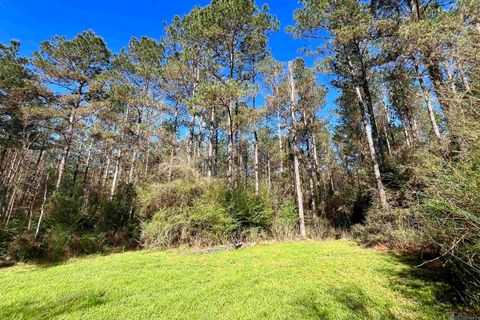 Vacant Land For Sale - 45 Hall And Lindsey Rd<br/> Saint Helena County, Greensburg, LA 70441