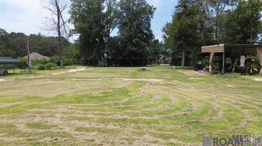 11679 Donna Ave, Denham Springs, Louisiana image 7