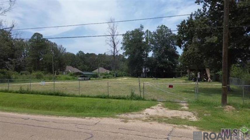 11679 Donna Ave, Denham Springs, Louisiana image 3