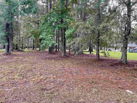 Vacant Land For Sale - 31387 River Pines Dr<br/> Springfield, LA 70462