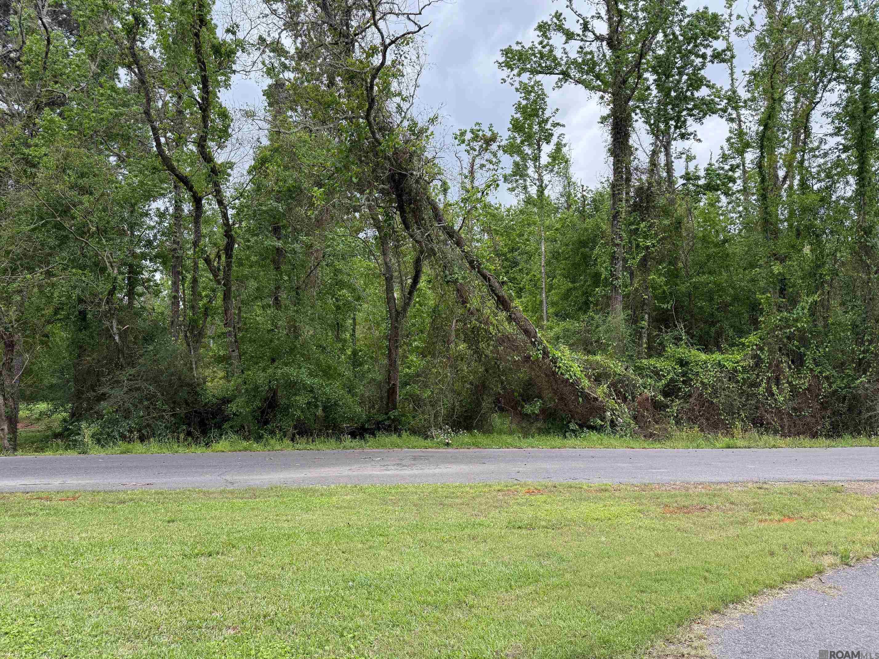 3182 S Vernon Dr, Zachary, Louisiana image 1