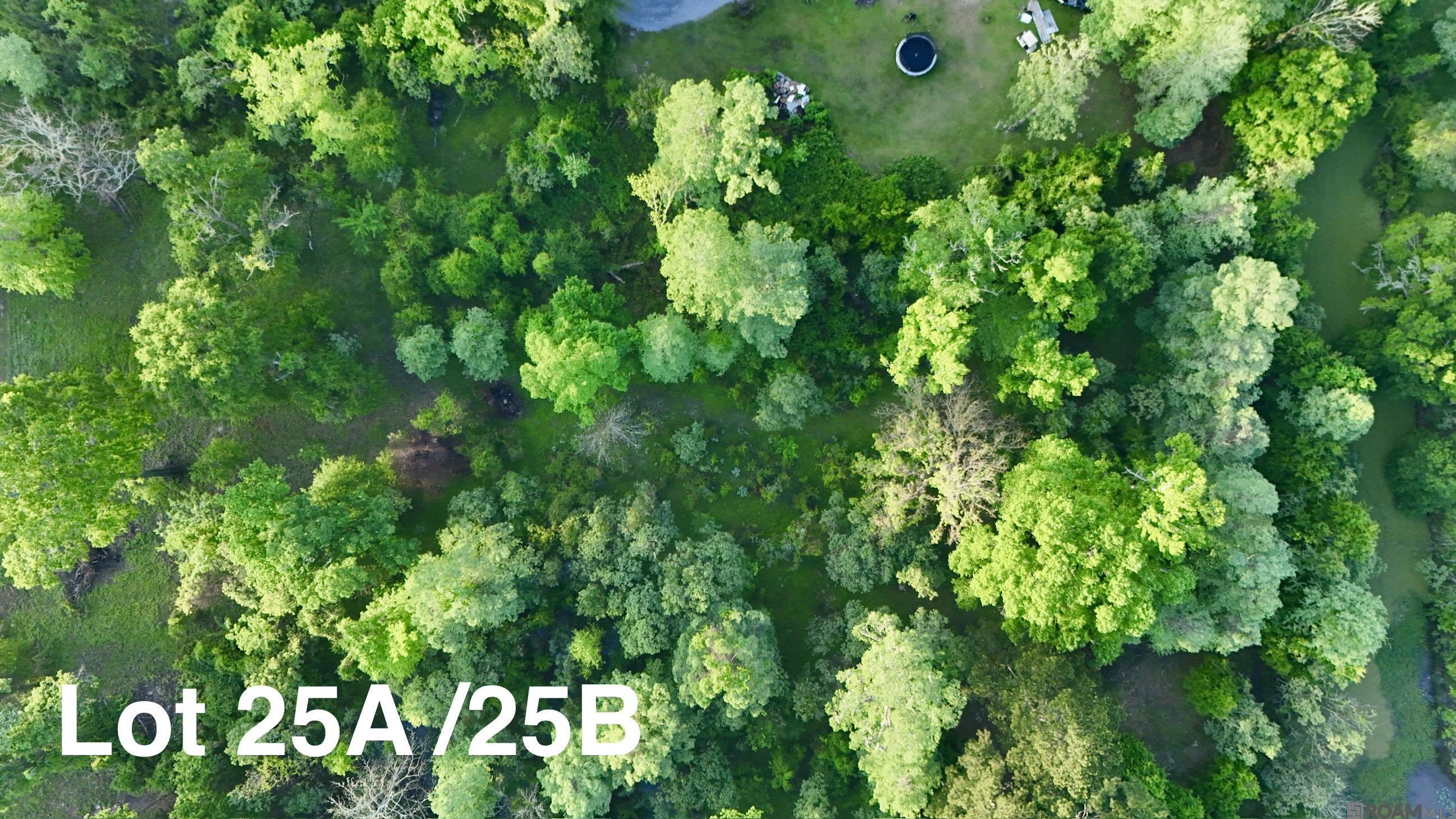 Photo 1 of 13 — 17007 Summerfield South Rd, Prairieville, LA 70769