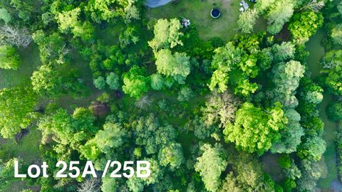 Vacant Land For Sale - 17007 Summerfield South Rd<br/> Ascension County, Prairieville, LA 70769