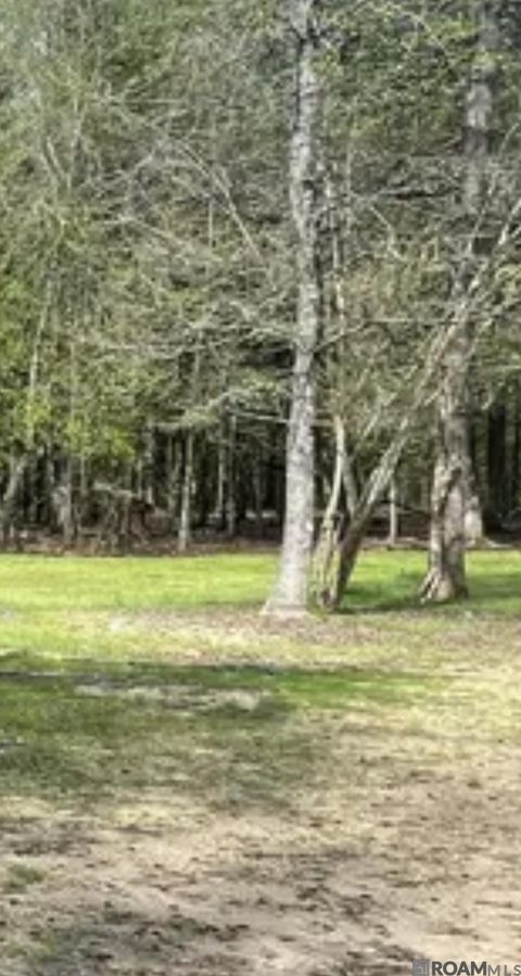 Vacant Land For Sale - 5392 N Gilead Rd<br/> Clinton, LA 70722