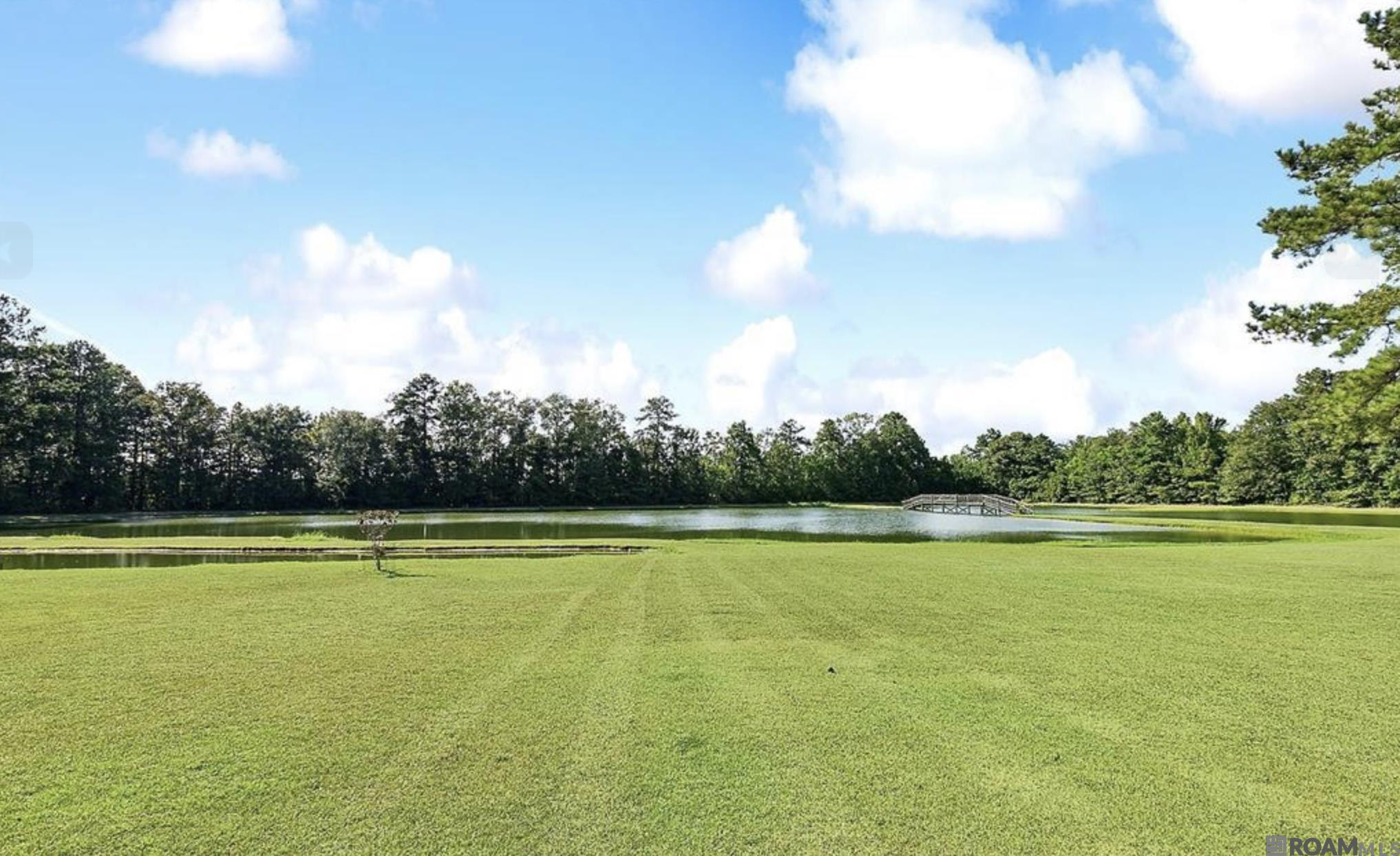 10202 Magnolia Blossom Ave, Greenwell Springs, Louisiana image 24