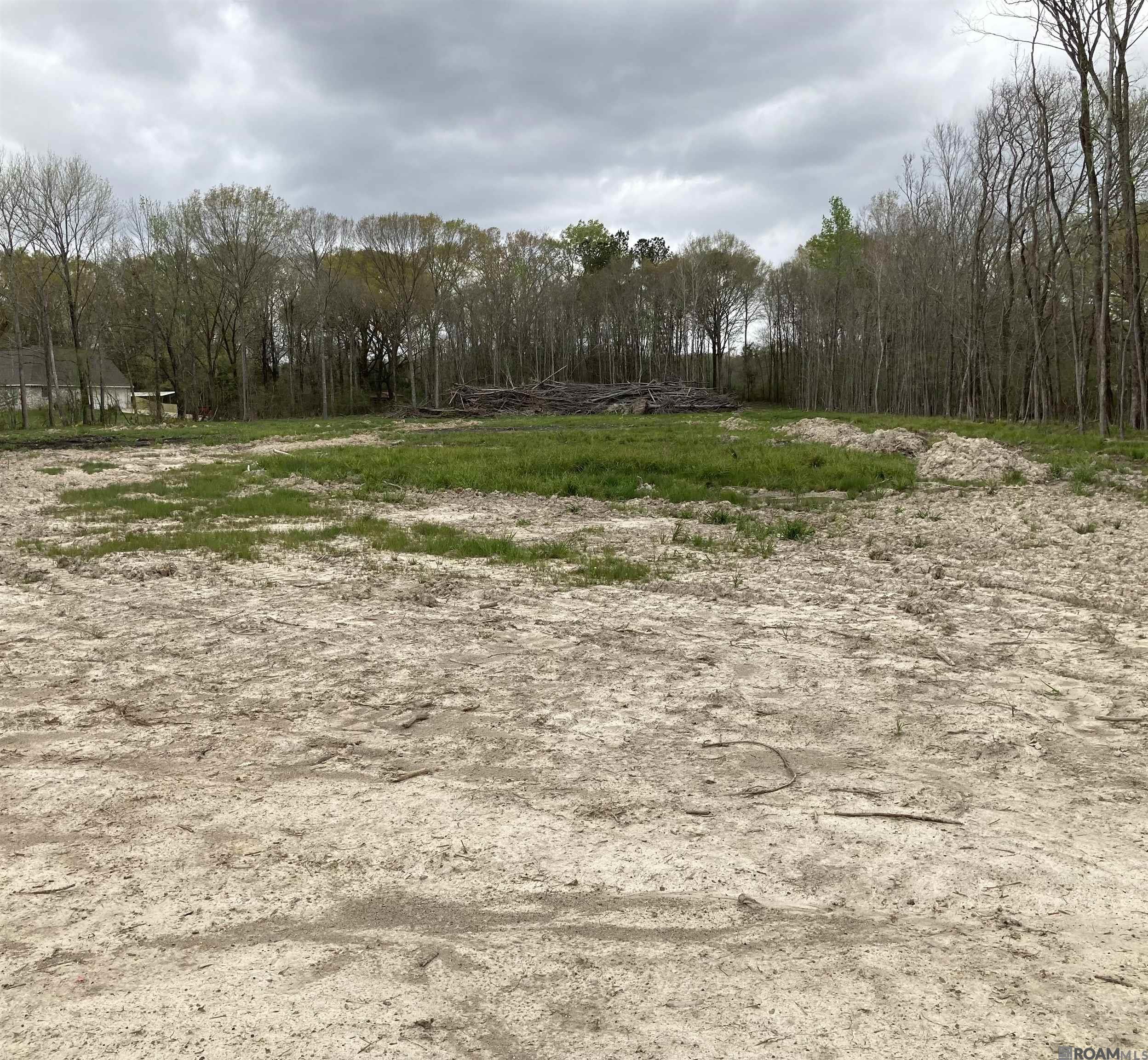 11283 Blackwater Rd, Baker, Louisiana image 2