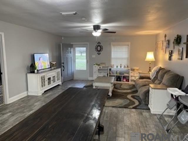 19077 Willie Ln, Livingston, Louisiana image 10