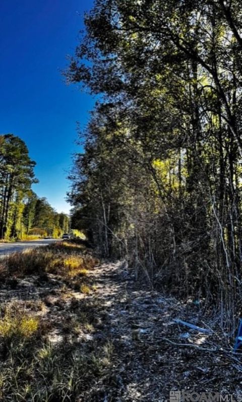 Vacant Land For Sale - TBD Watkins Rd<br/> Walker, LA 70785