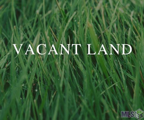 Vacant Land For Sale - 56283 Juban Rd<br/> Denham Springs, LA 70726