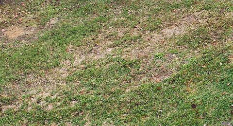 Vacant Land For Sale - LOT 68 A&B El Scott Ave<br/> Baton Rouge, LA 70811