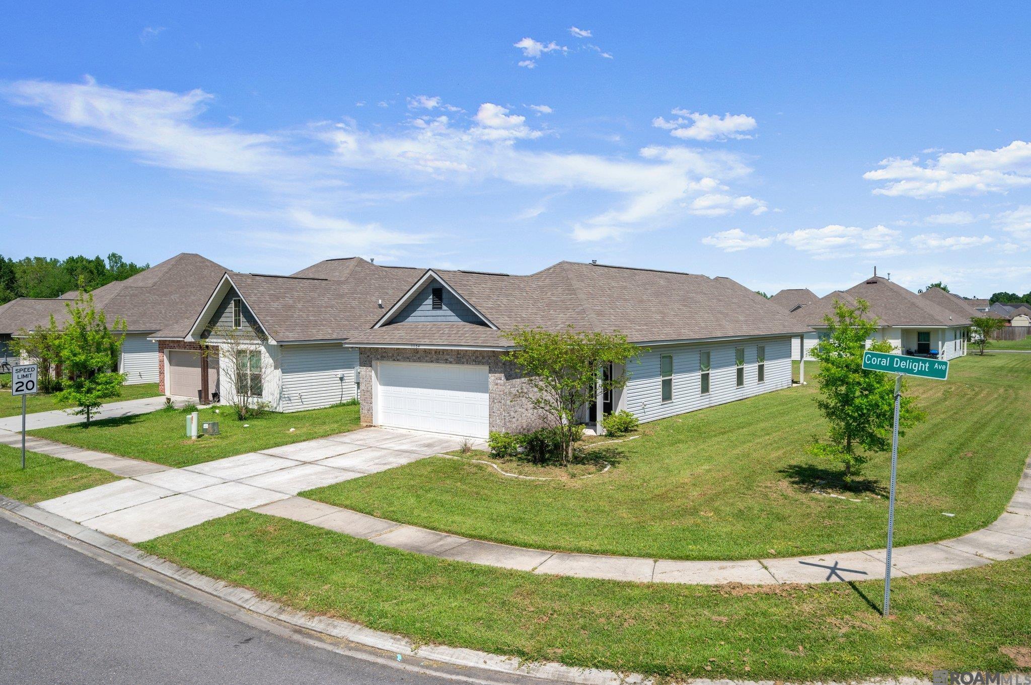 11134 Coral Delight Ave, Gonzales, Louisiana image 2