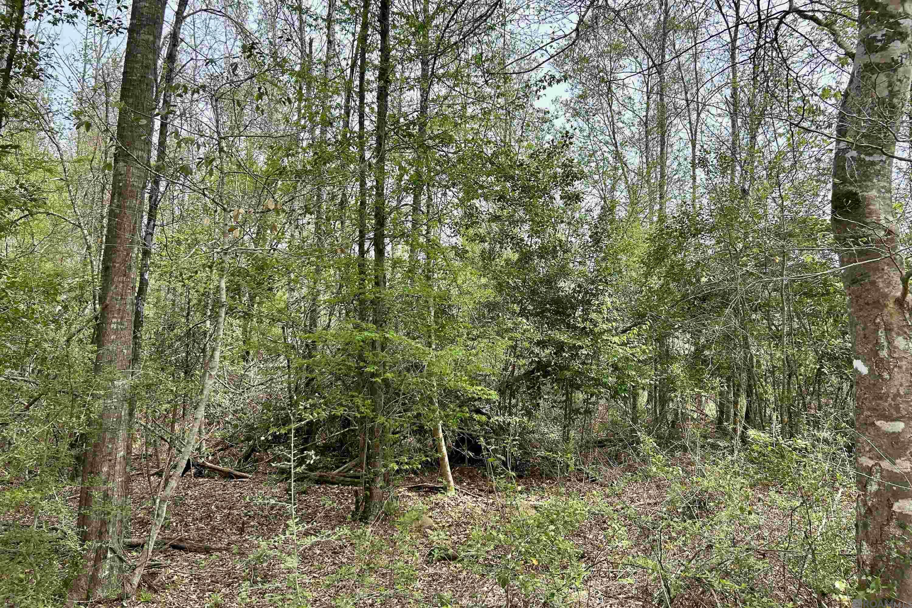 25 La Hwy 960, Clinton, Louisiana image 9