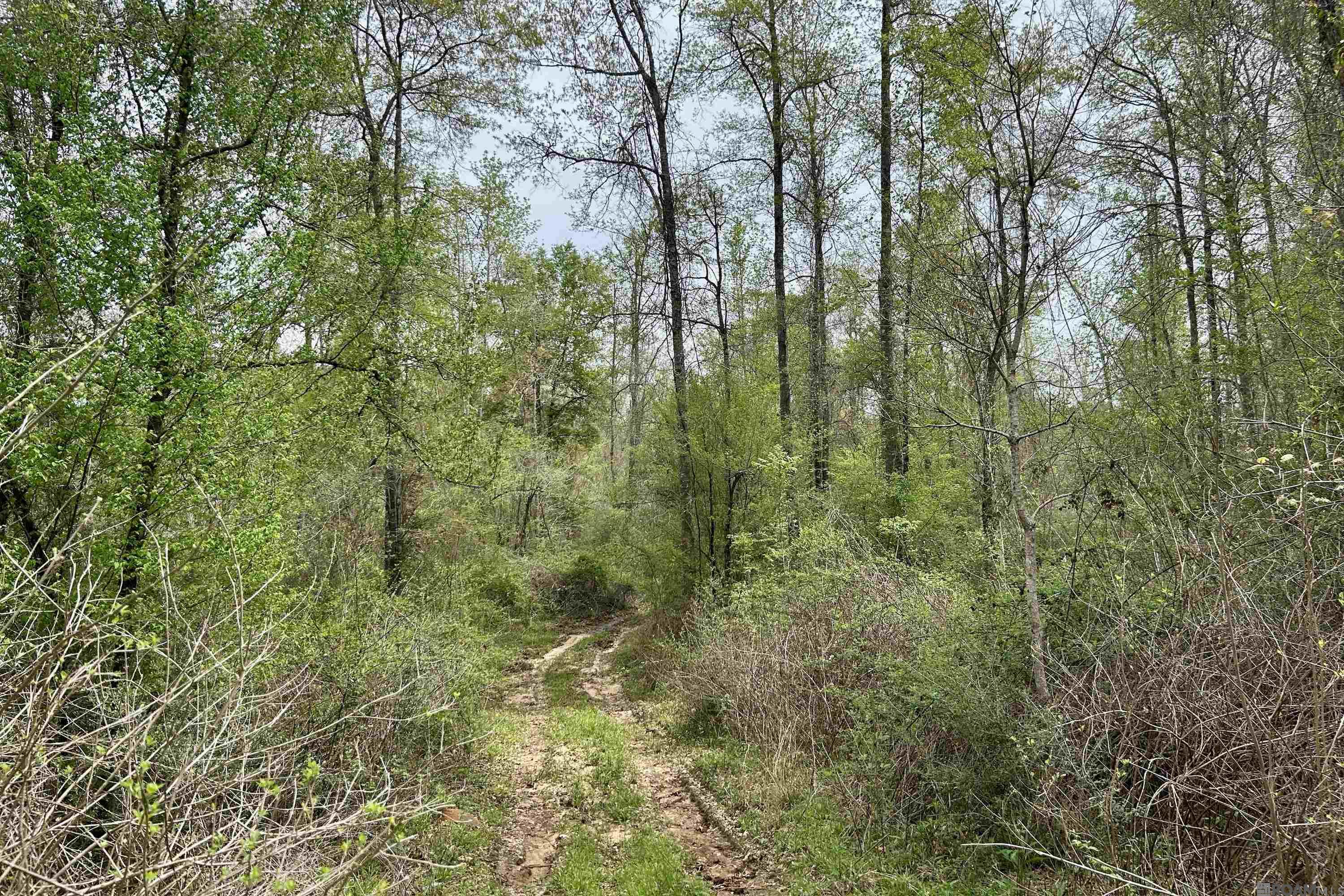 25 La Hwy 960, Clinton, Louisiana image 2