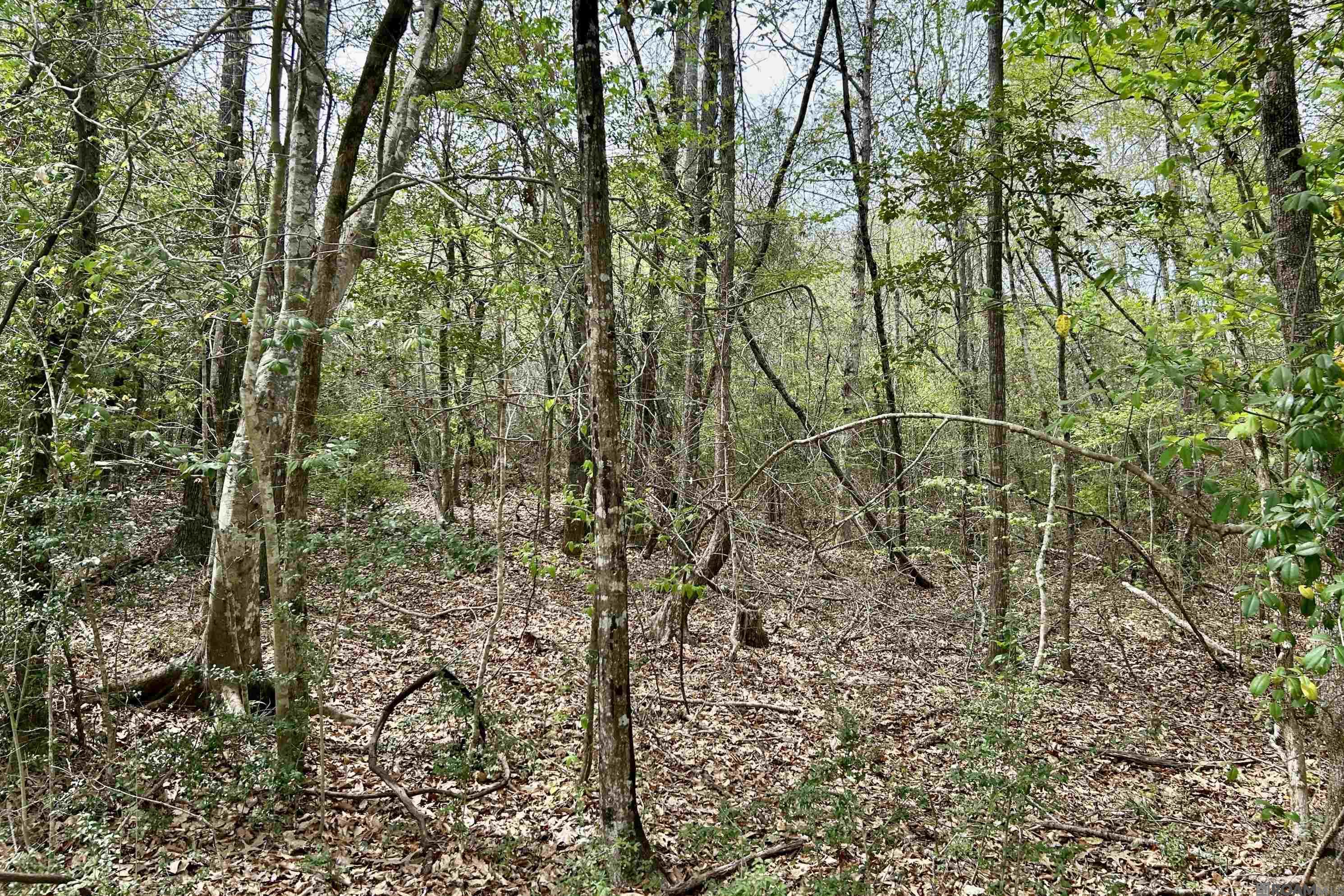 25 La Hwy 960, Clinton, Louisiana image 8