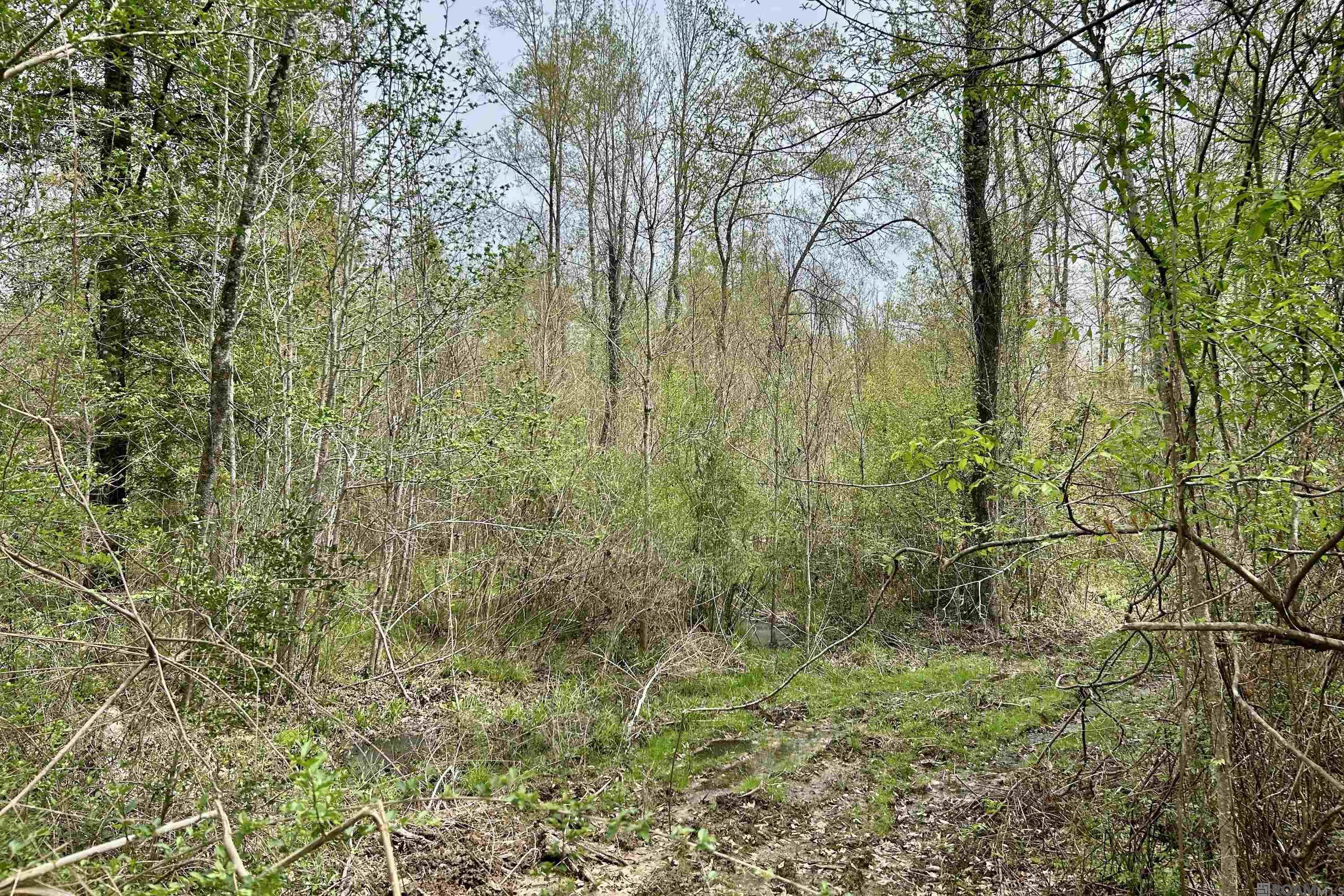 25 La Hwy 960, Clinton, Louisiana image 6