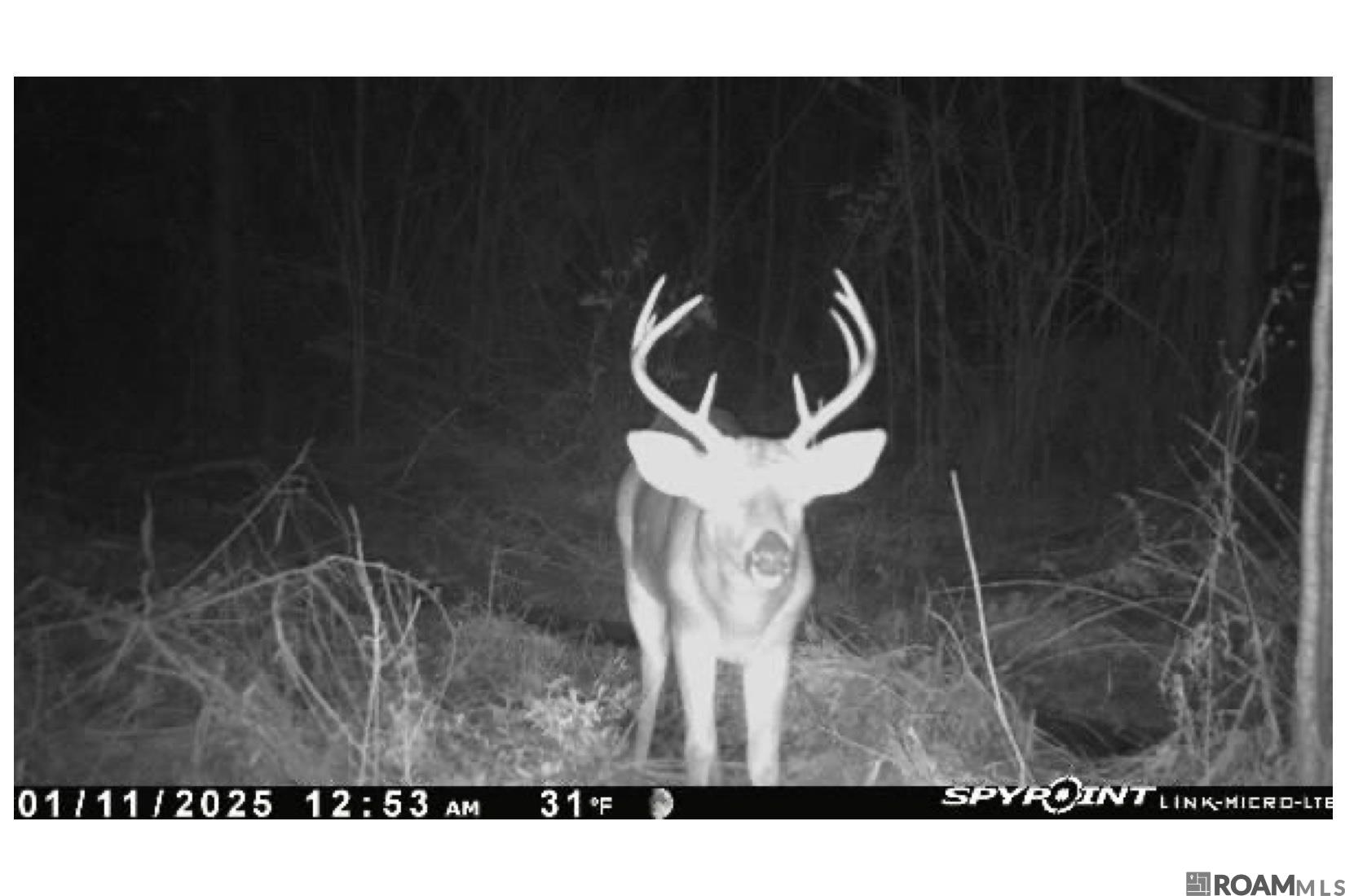 25 La Hwy 960, Clinton, Louisiana image 7