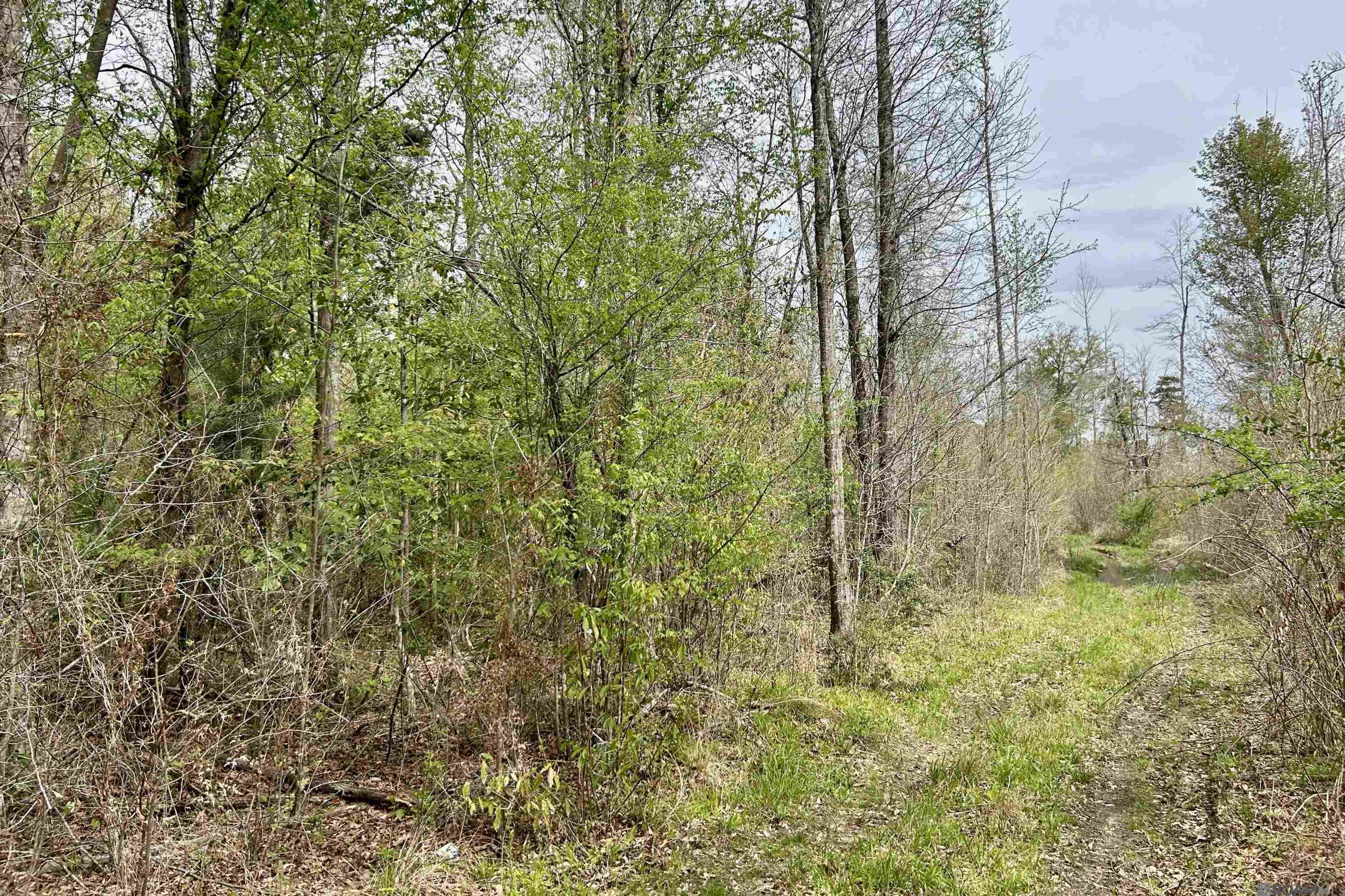 25 La Hwy 960, Clinton, Louisiana image 10