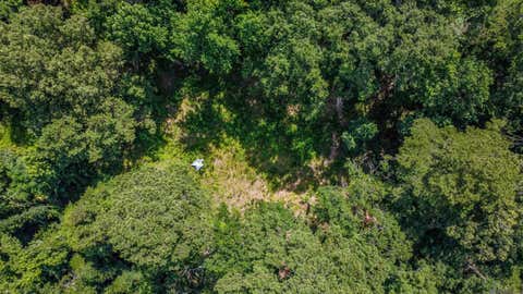 Vacant Land For Sale - 11460 La Hwy 967<br/> West Feliciana County, Saint Francisville, LA 70775