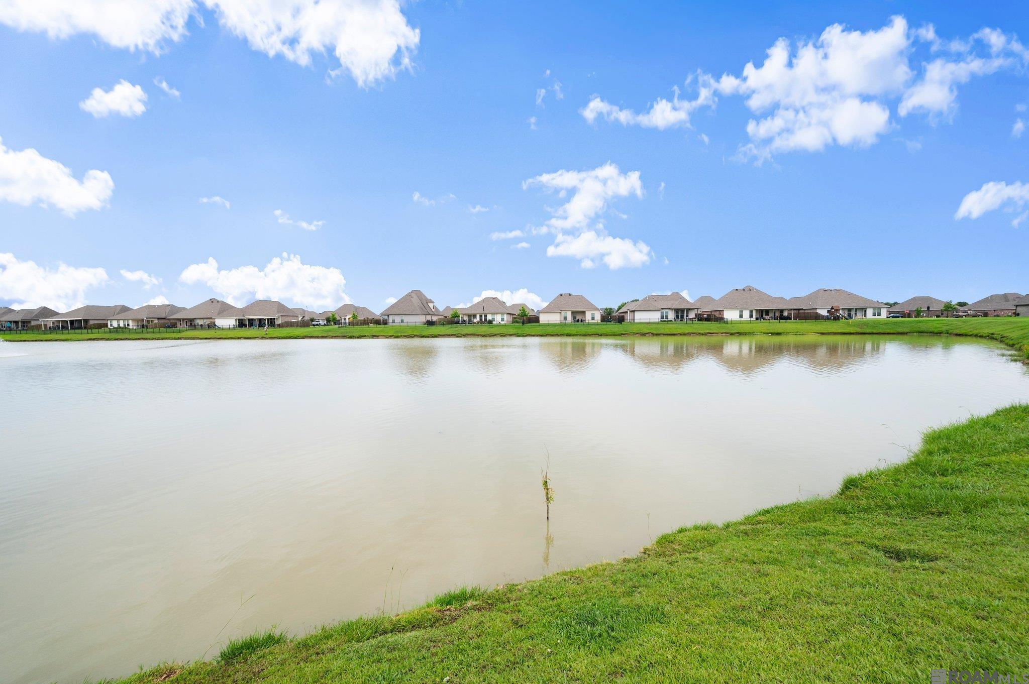 41315 Hackett Canal Dr, Gonzales, Louisiana image 22