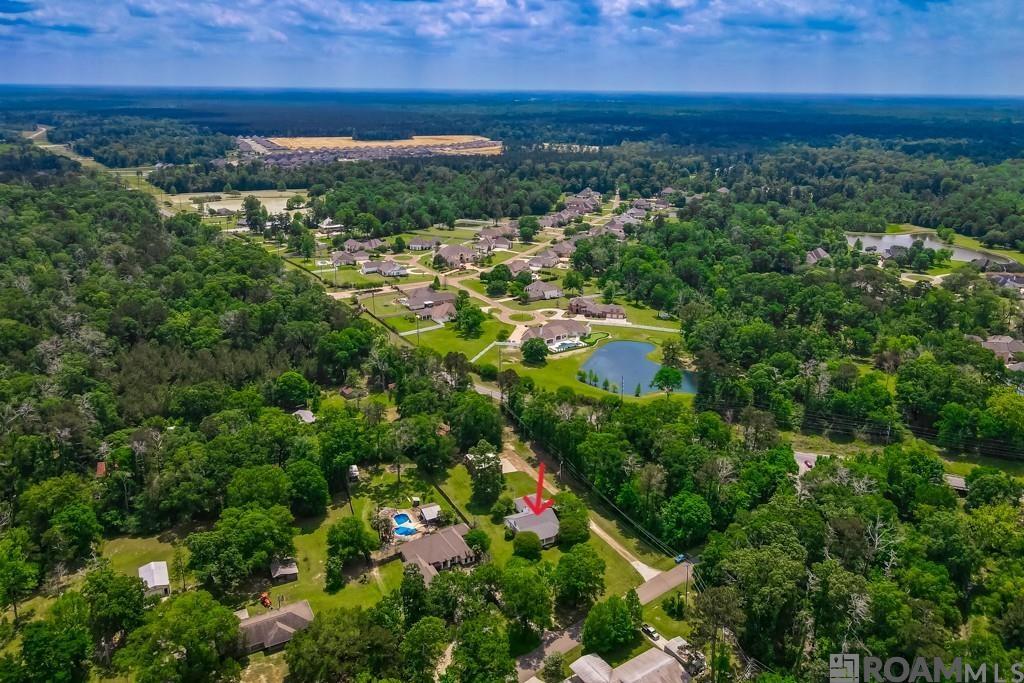 8142 Harris Rd, Denham Springs, Louisiana image 39