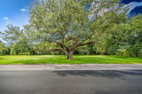 9282 MAIN ST, HOUMA, LA 70363 - Image f52c1e5b15dcb74445f1bf03fbffdee8/1601746014