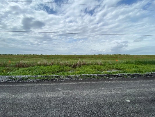 2555 BRADY RD, THERIOT, LA 70397 - Image f53f4ec4e02adc6224f4a2e63f9d37e7/1160492054