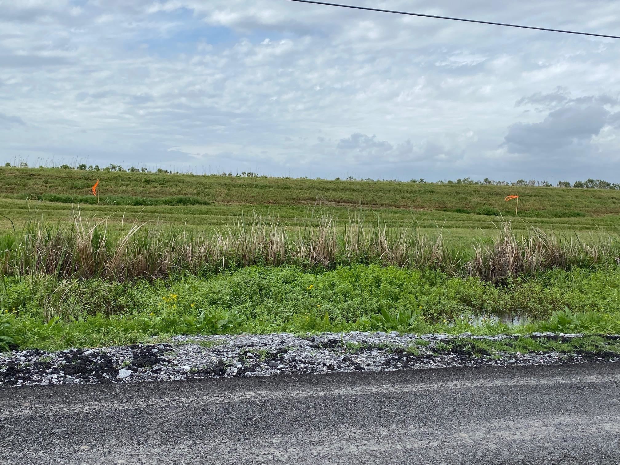 2555 Brady Rd, Theriot, Louisiana image 2