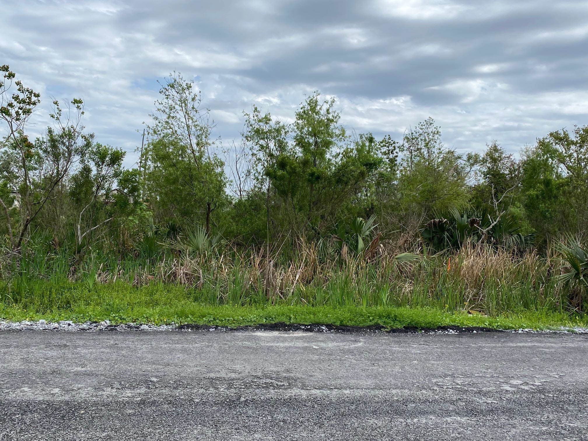 2555 Brady Rd, Theriot, Louisiana image 5